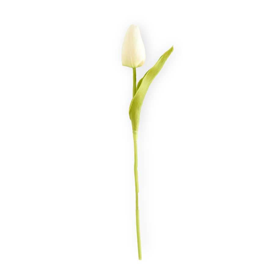 10.5" White Mini Tulip Stem