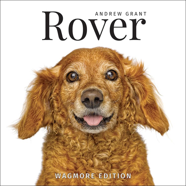 Rover: Wagmore Edition