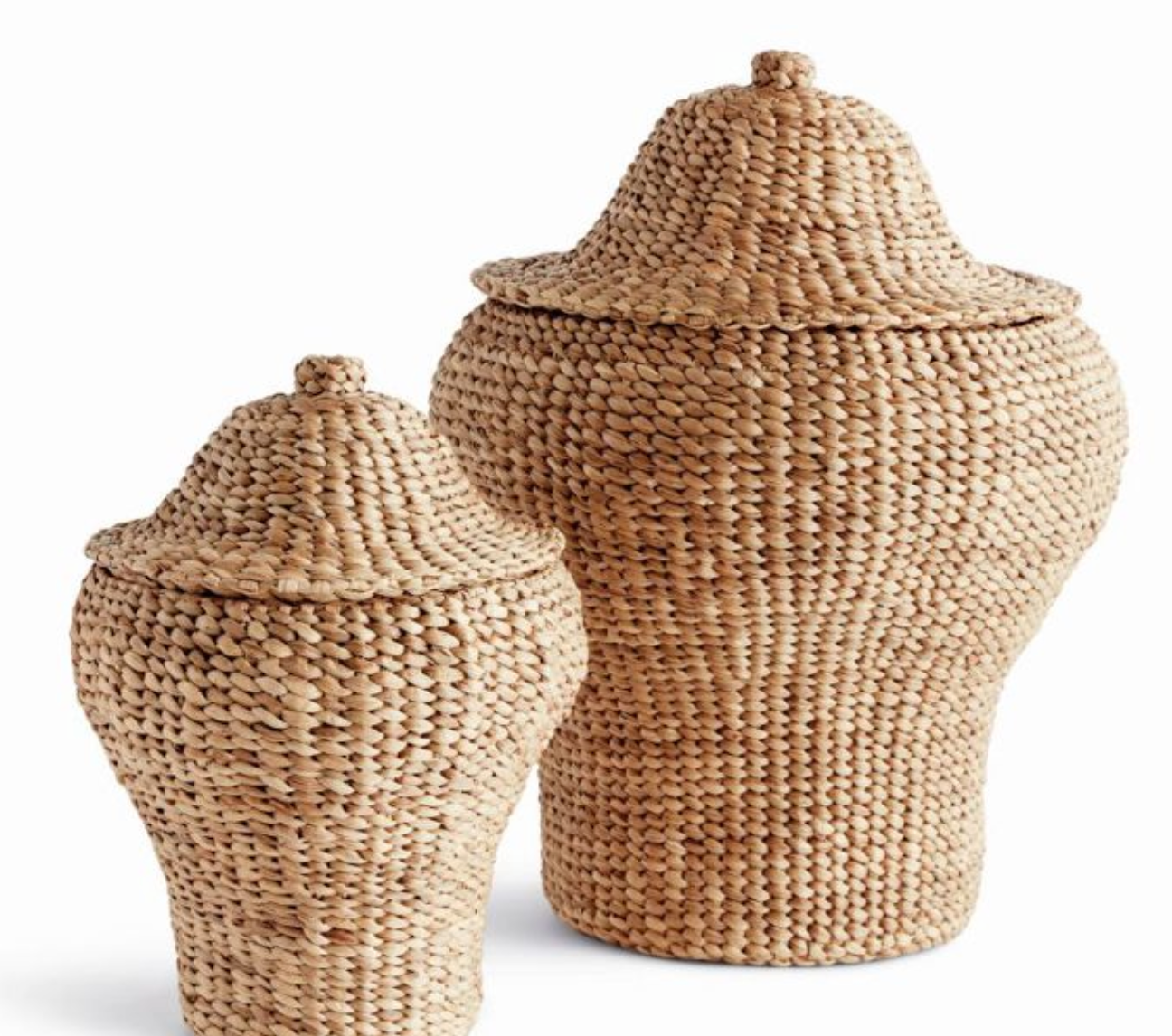 Water Hyacinth Ginger Jar