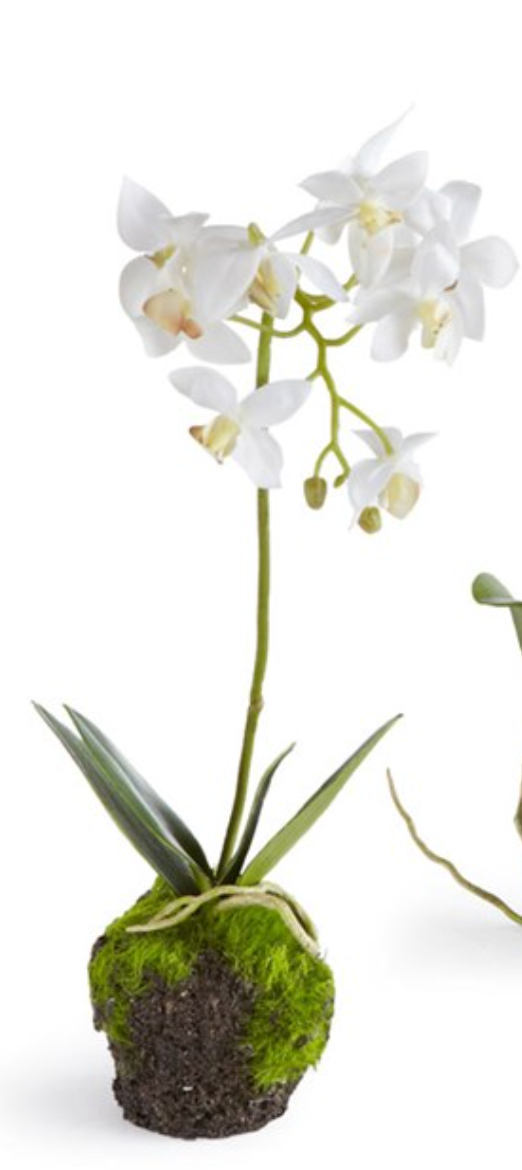 Orchid Drop-in - 12"