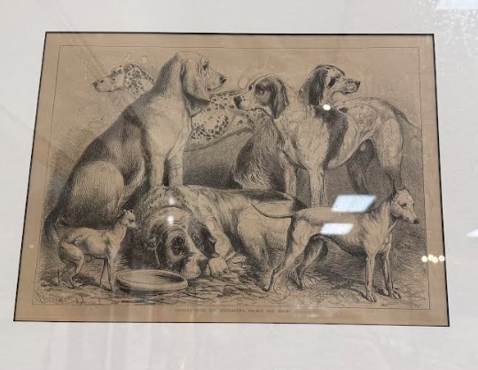 Framed Dog Print