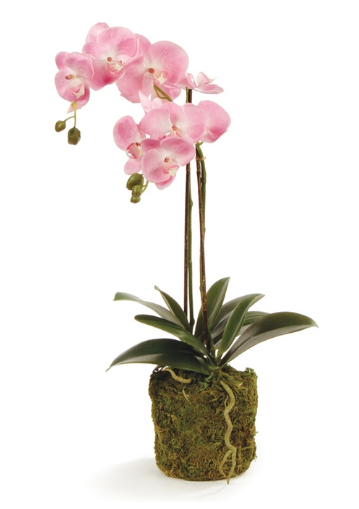 23" Orchid Drop - Pink