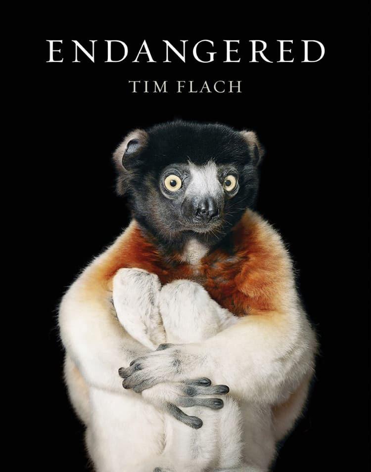 Endangered by Tim Flach