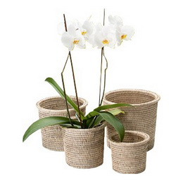 Large Flower Basket - Whitewash