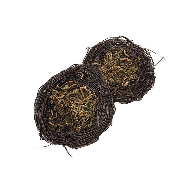 Nest with Moss