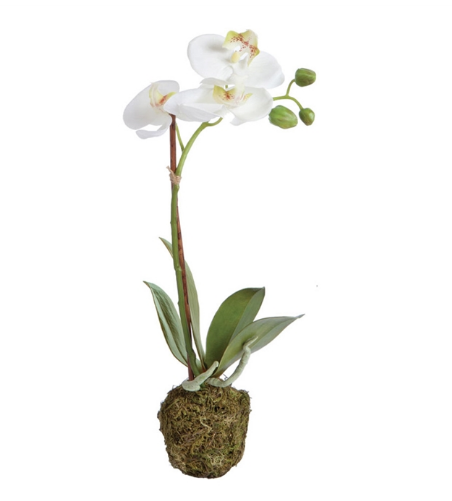 Orchid Drop-in - 15"