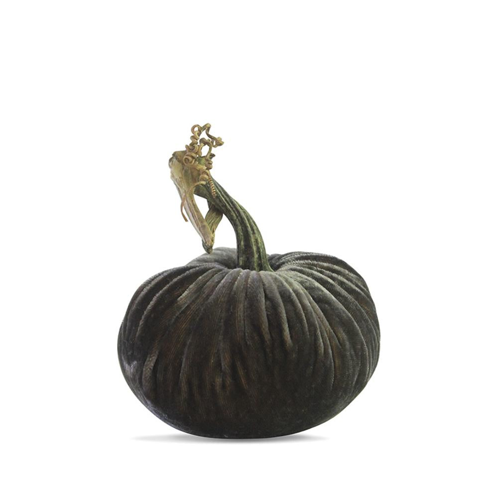 5" Velvet Pumpkin