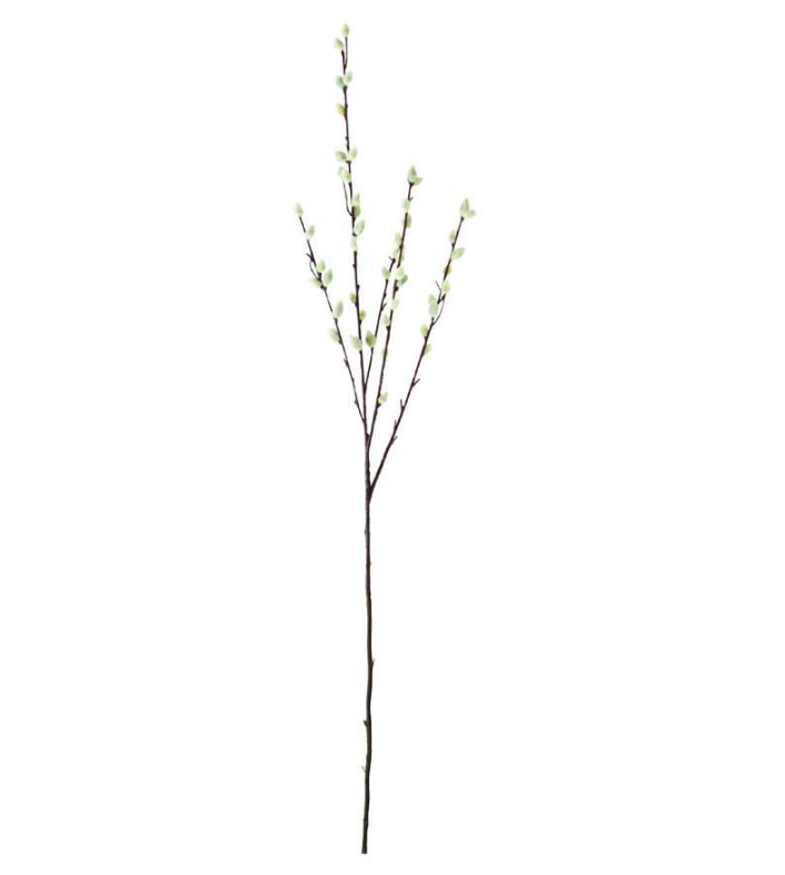 Pussywillow Stem