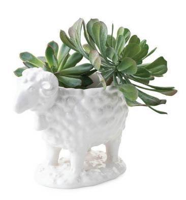 Clever Creatures Ram Bowl