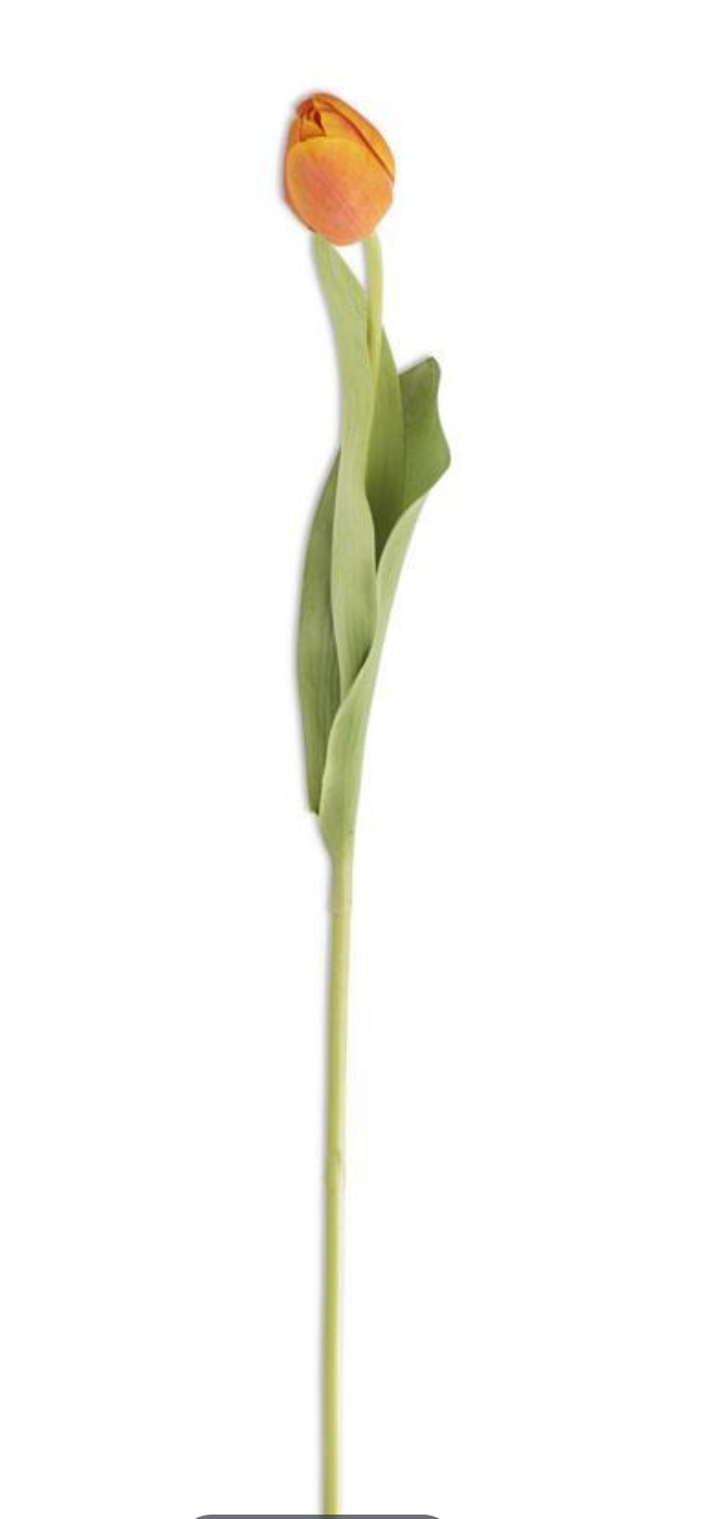 26.75" Tulip Stem