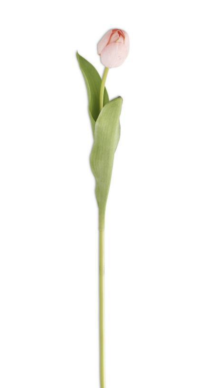 26.75" Tulip Stem